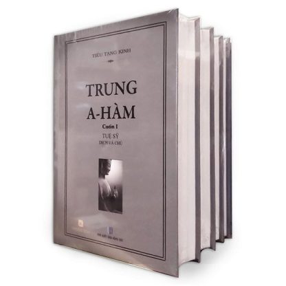 Kinh A Hàm Trọn Bộ - Tuệ Sỹ Dịch Và Chú (Bộ 15 Quyển) - Ảnh 4