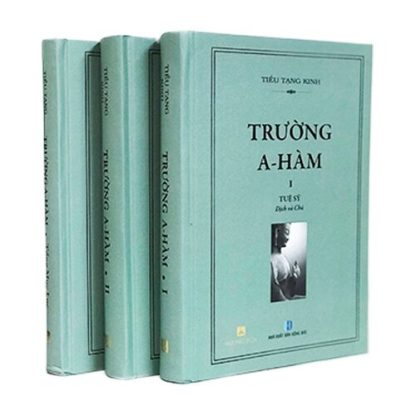 Kinh A Hàm Trọn Bộ - Tuệ Sỹ Dịch Và Chú (Bộ 15 Quyển) - Ảnh 2
