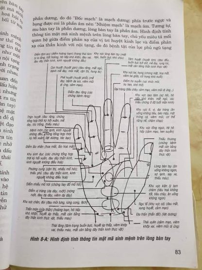 Mật Mã Bàn Tay Giải Mã Cuộc Đời - Thiệu Vĩ Hoa - Ảnh 6